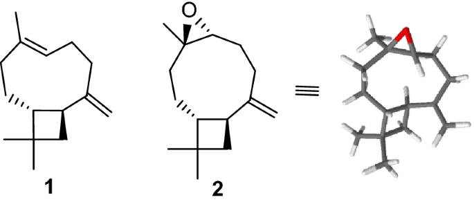 1760518776157265.png 20251013175850_62857.png