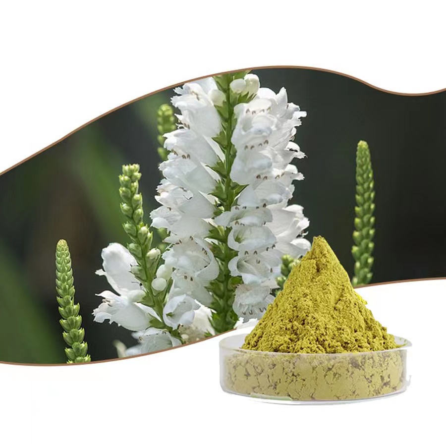 Chanca piedra: Unlocking the Benefits Chanca piedra powder